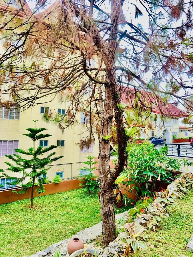Elliannah Pines Hotel Baguio City Eksteriør bilde